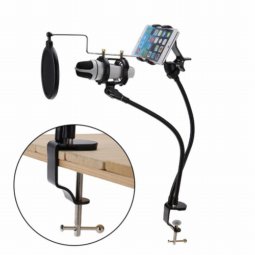3-in-1 Microphone Stand with Phone Clamp & Filter