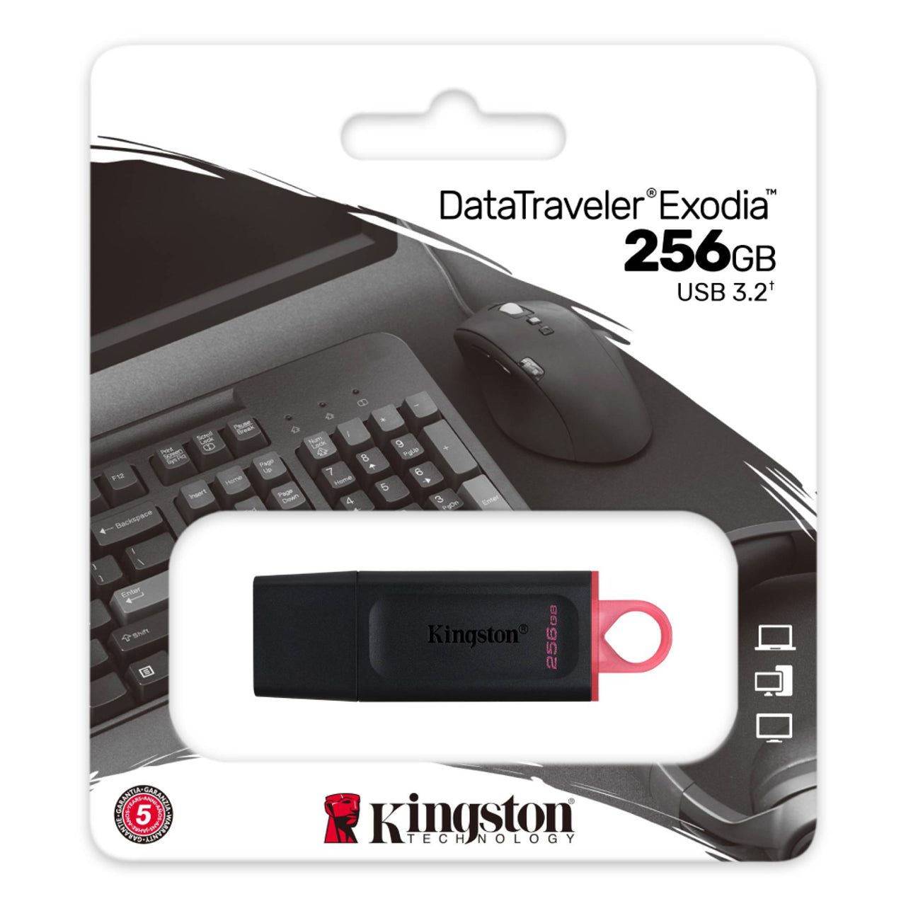 Kingston DataTraveler Exodia 256USB 3.2 Flash Drive